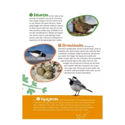 Bog Fugle I Vores Natur