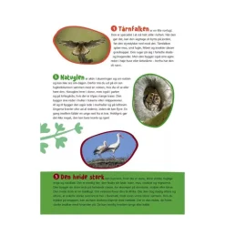 Bog Fugle I Vores Natur