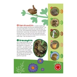 Bog Fugle I Vores Natur