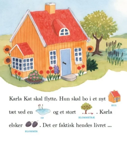Bog Karla Kat Skal Flytte