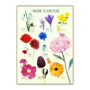Ciha Plakat 50X70Cm, Farverne Og Blomsterne