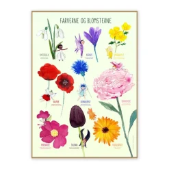 Ciha Plakat 50X70Cm, Farverne Og Blomsterne