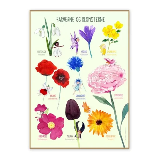 Ciha Plakat 50X70Cm, Farverne Og Blomsterne