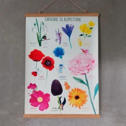 Ciha Plakat 50X70Cm, Farverne Og Blomsterne