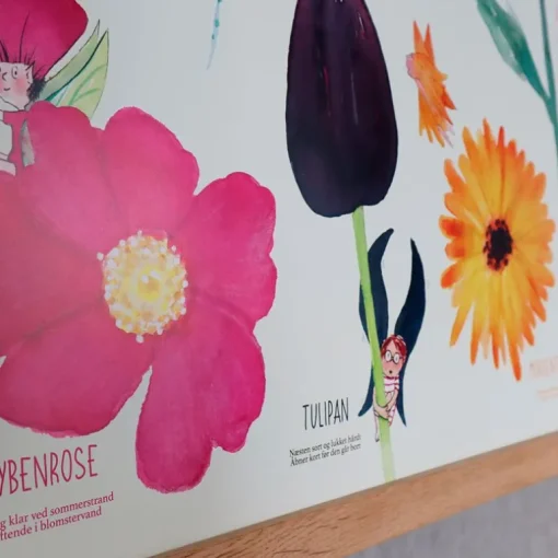 Ciha Plakat 50X70Cm, Farverne Og Blomsterne