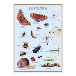 Ciha Plakat 50X70Cm, Smadyr Omkring Dig