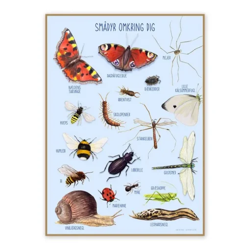 Ciha Plakat 50X70Cm, Smadyr Omkring Dig