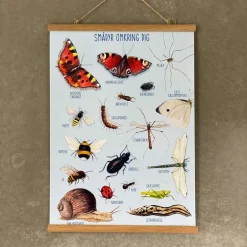 Ciha Plakat 50X70Cm, Smadyr Omkring Dig