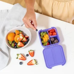 Little Lunch Box 'Bento Two', Grape