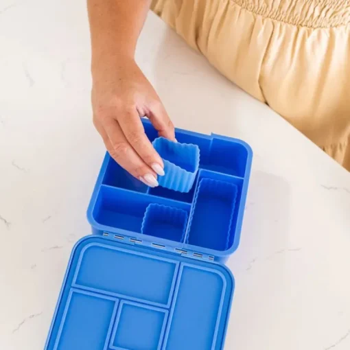 Little Lunch Box 3Pk 'Bento Cups', Blueberry