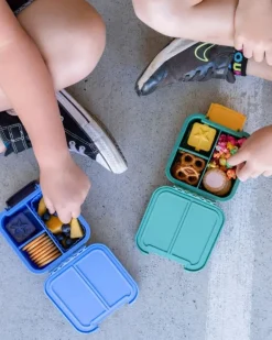 Little Lunch Box Sma Bokse, Pineapple