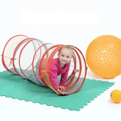 Ludi Aktivitetssaet