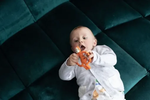 Matchstick Monkey Teething Teddy Tiger
