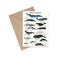 Mouse & Pen A6 Kort, World Of Whales