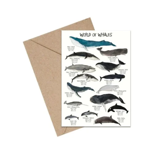 Mouse & Pen A6 Kort, World Of Whales