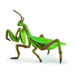 Papo Knaeler