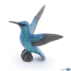 Papo Kolibri