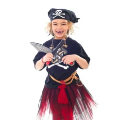 Robetoy Piratmonter