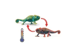 Schleich Kamaeleon