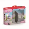 Schleich Sb Starter Set - Sofia & Dusty