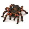 Schleich Tarantel