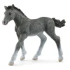 Schleich Trakehner, Fol