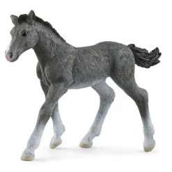 Schleich Trakehner, Fol