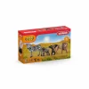Schleich Wild Life Starter-Set
