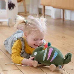 Sebra Traekdyr, Kamaeleonen Carley
