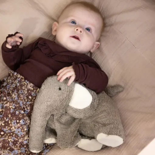 Sebra Varmepude Bamse, Fanto