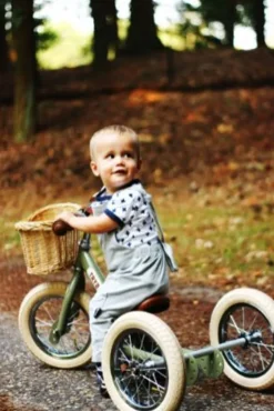 Trybike Cykelkurv