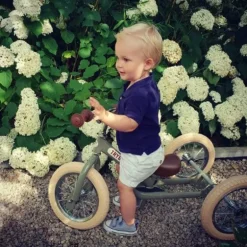 Trybike Ekstra Daek Vintage