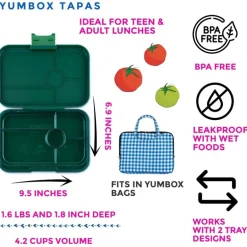 Yumbox Tapas 5 Rum, Green/Clear